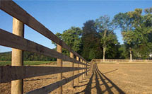 Board Fence picture