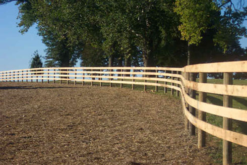 Board Fence picture